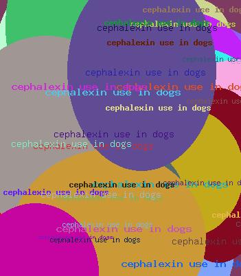 Cephalexin use in dogs